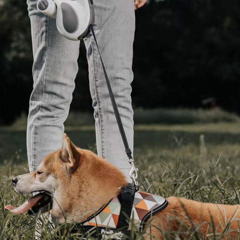 LED Long Retractable Dog Training Lead