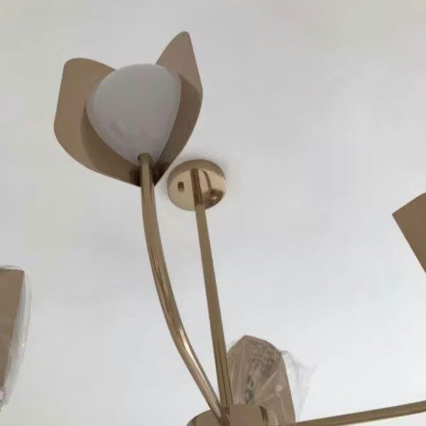 Image #3 from Carmon Wittig