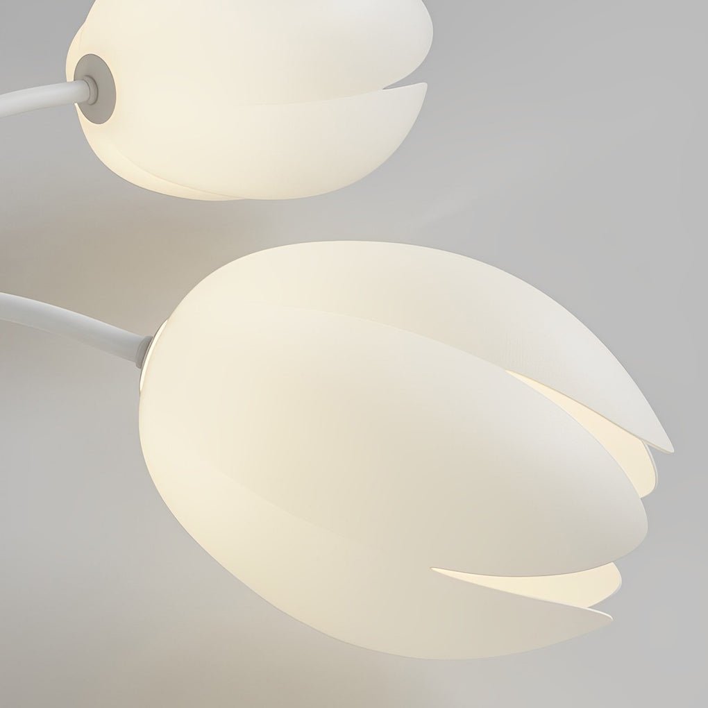 12_1f8d7bf1-e1bc-4365-a78c-cd54daa21cbe