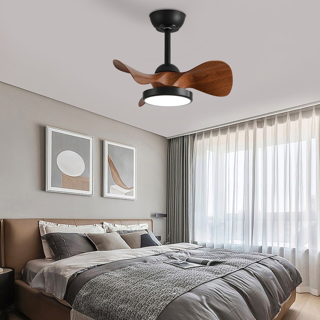 13_70c2d589-0d8c-4455-b59a-f9f61316f5d9