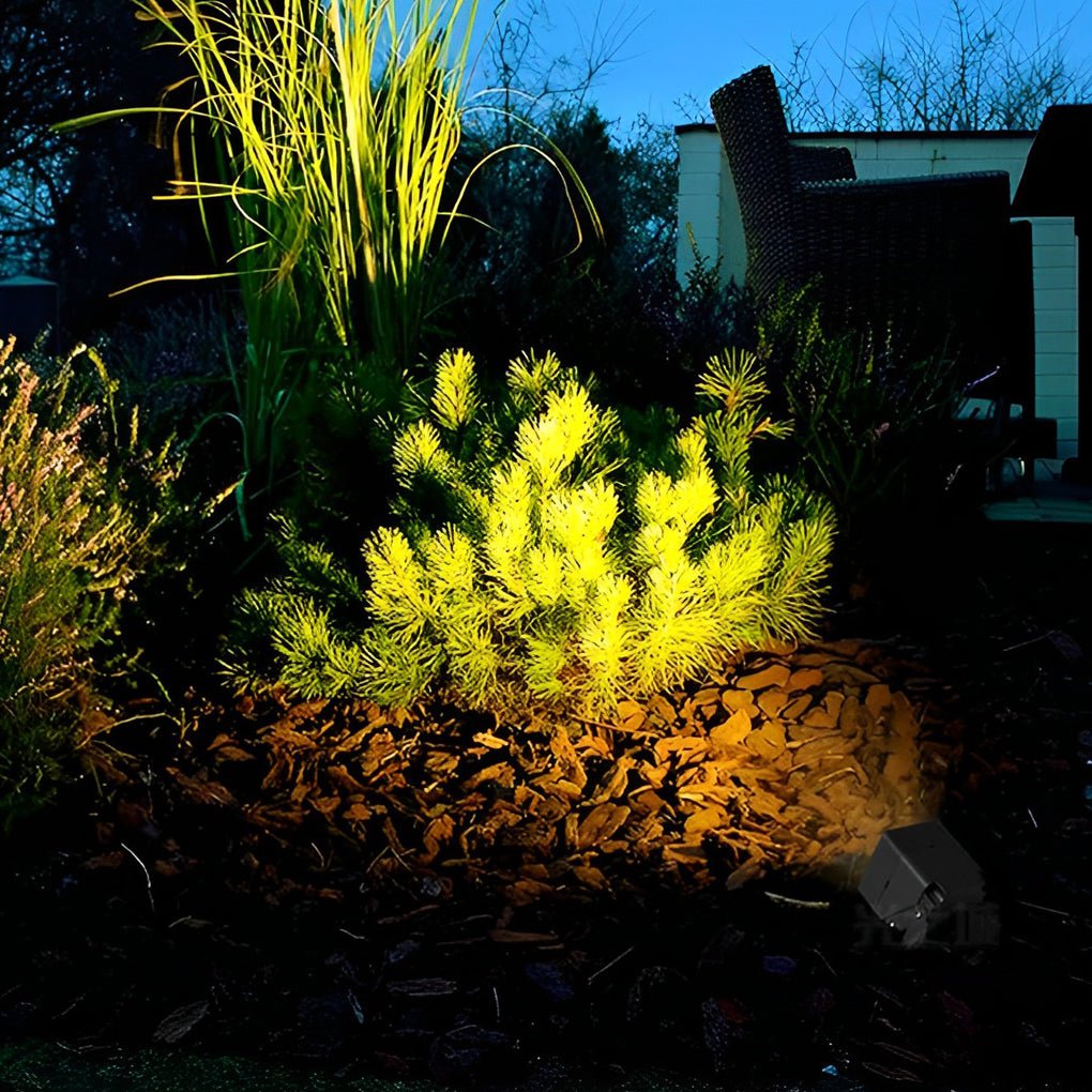 2_58489011-57ea-4976-981a-333410b8d36d