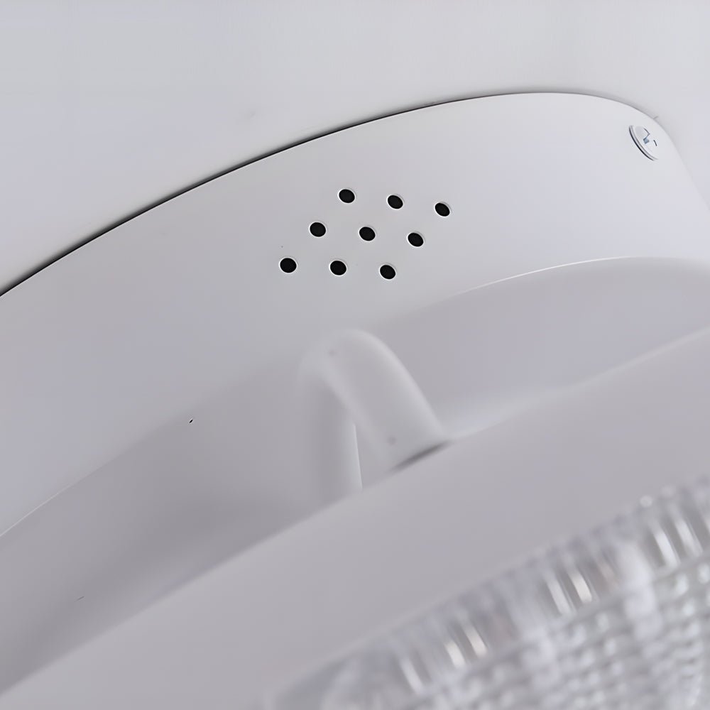 8_cb3bccd9-6d55-4d20-abaa-5829aad0b278