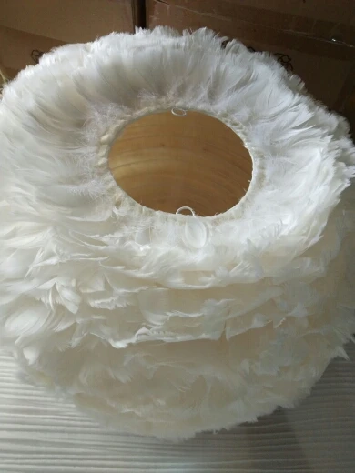 Image #3 from Caitlyn Schultz