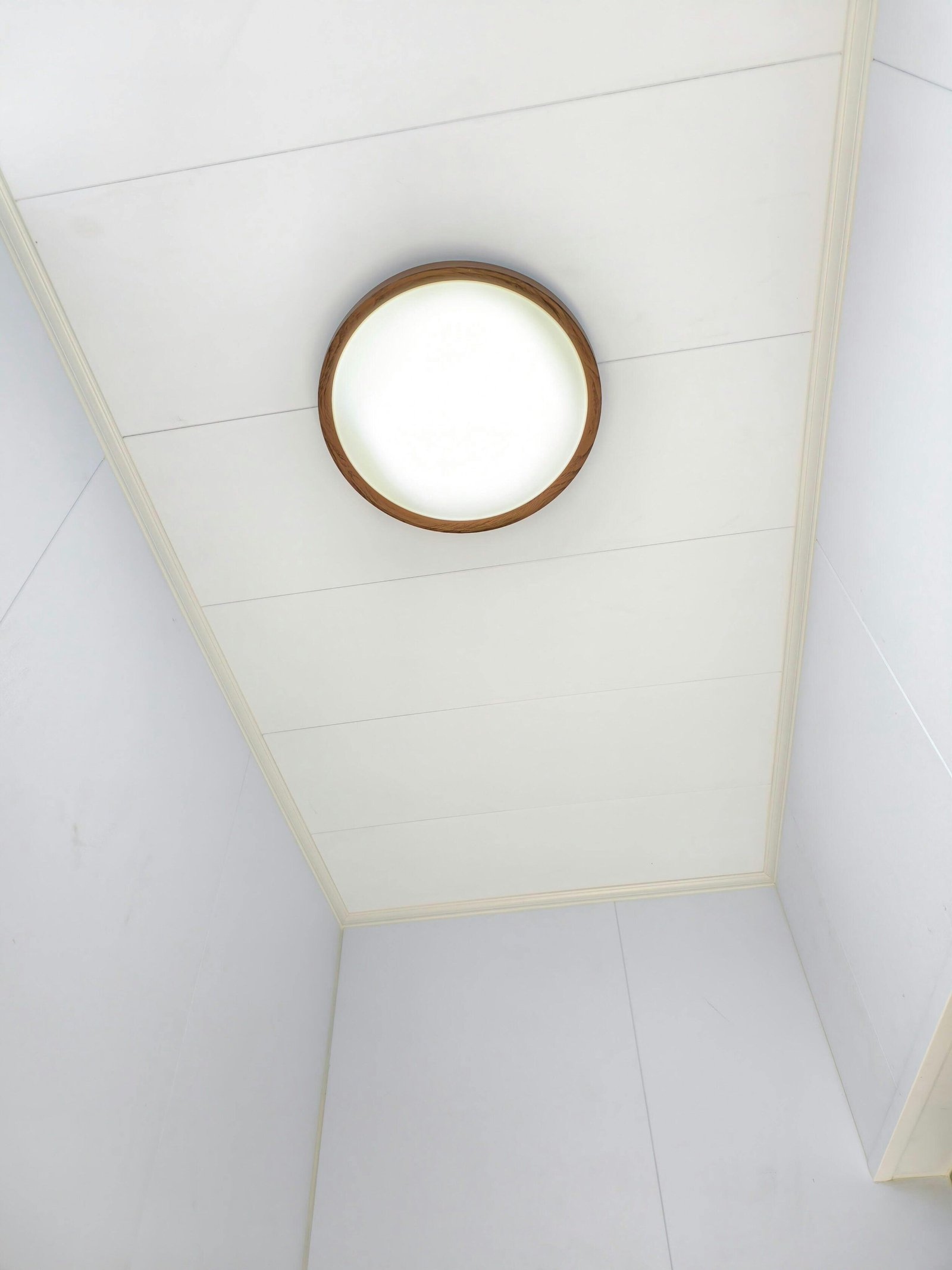 Image #2 from Blaire Hutton