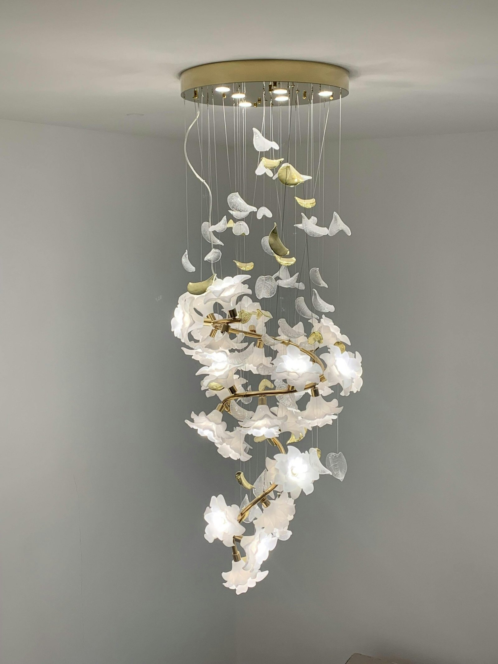Image #1 from Lauren Walker