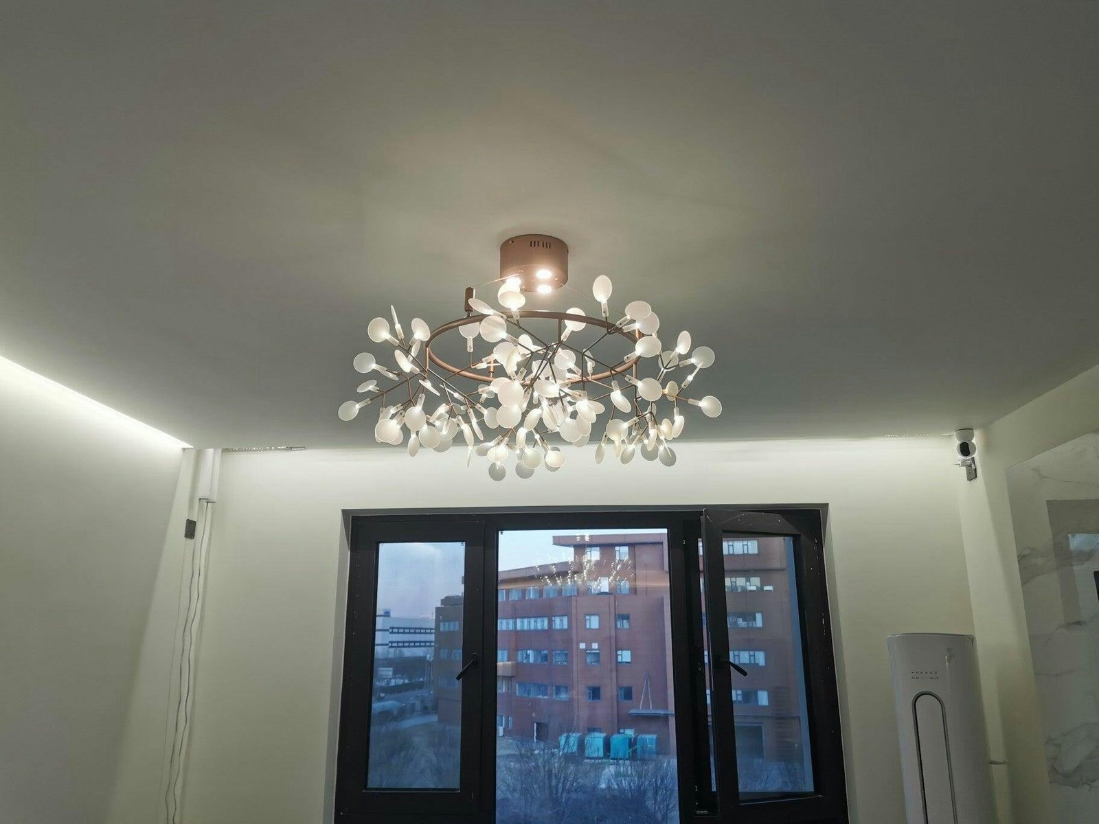 Image #2 from Kristin Ziemann