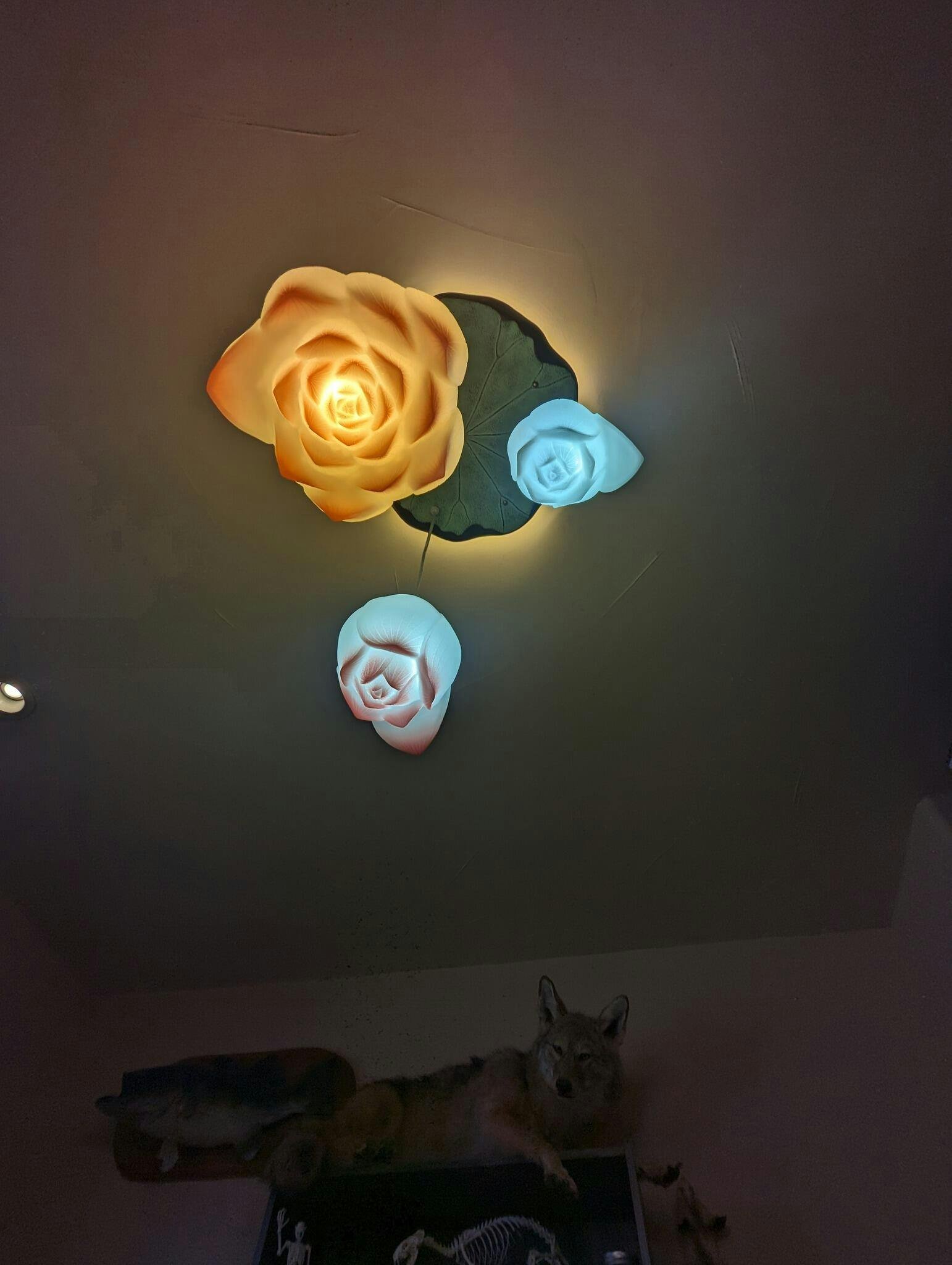 Image #1 from Chelsea Wolf