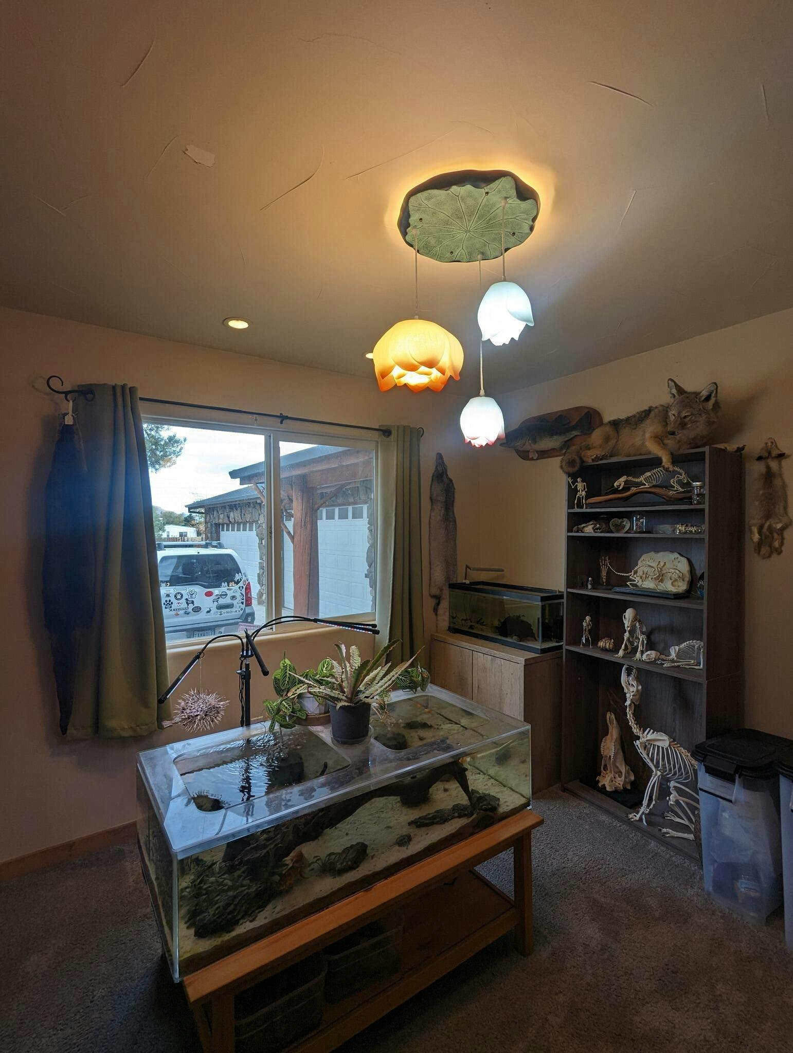 Image #3 from Chelsea Wolf
