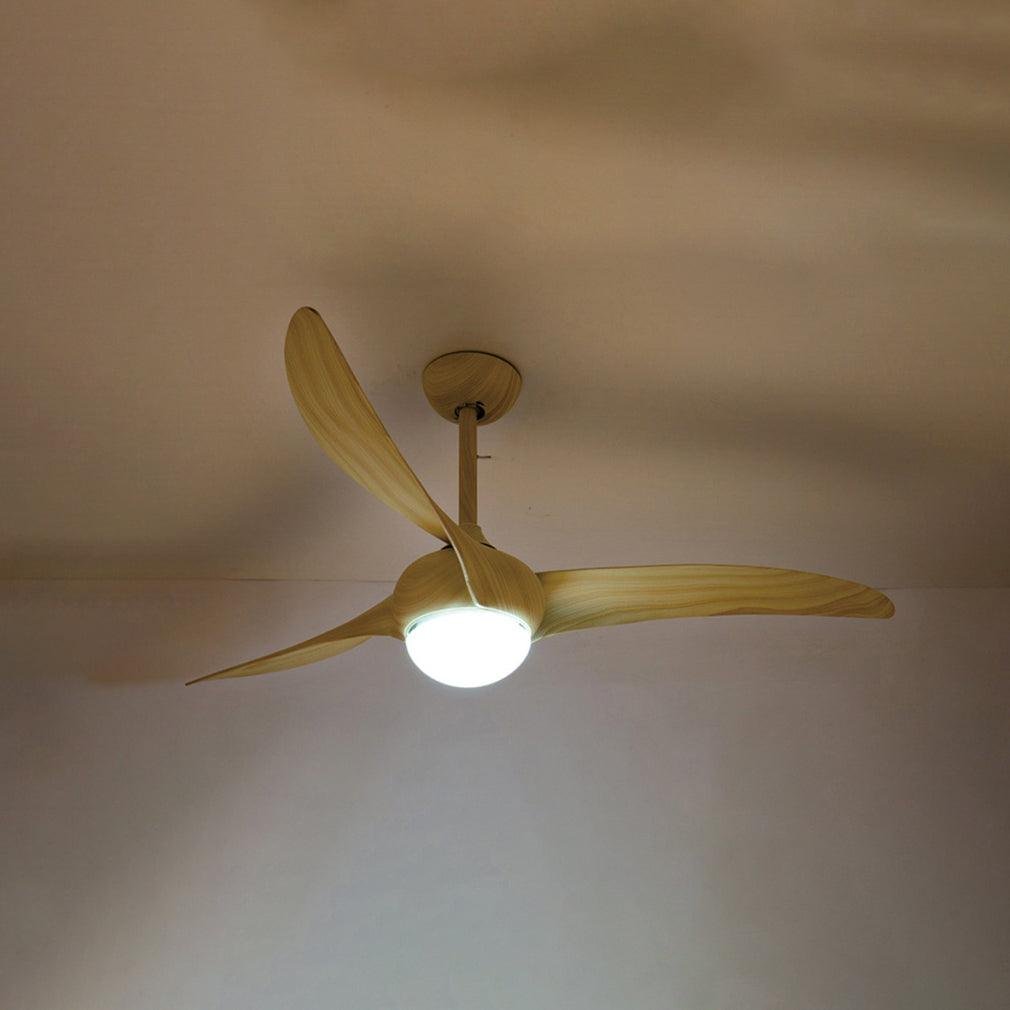 Traditional Ceiling Fan Light