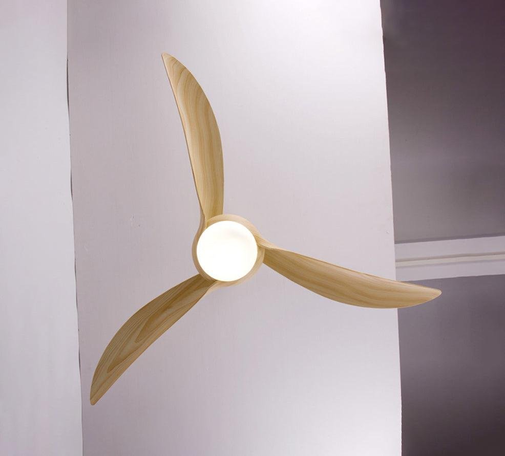 Traditional Ceiling Fan Light