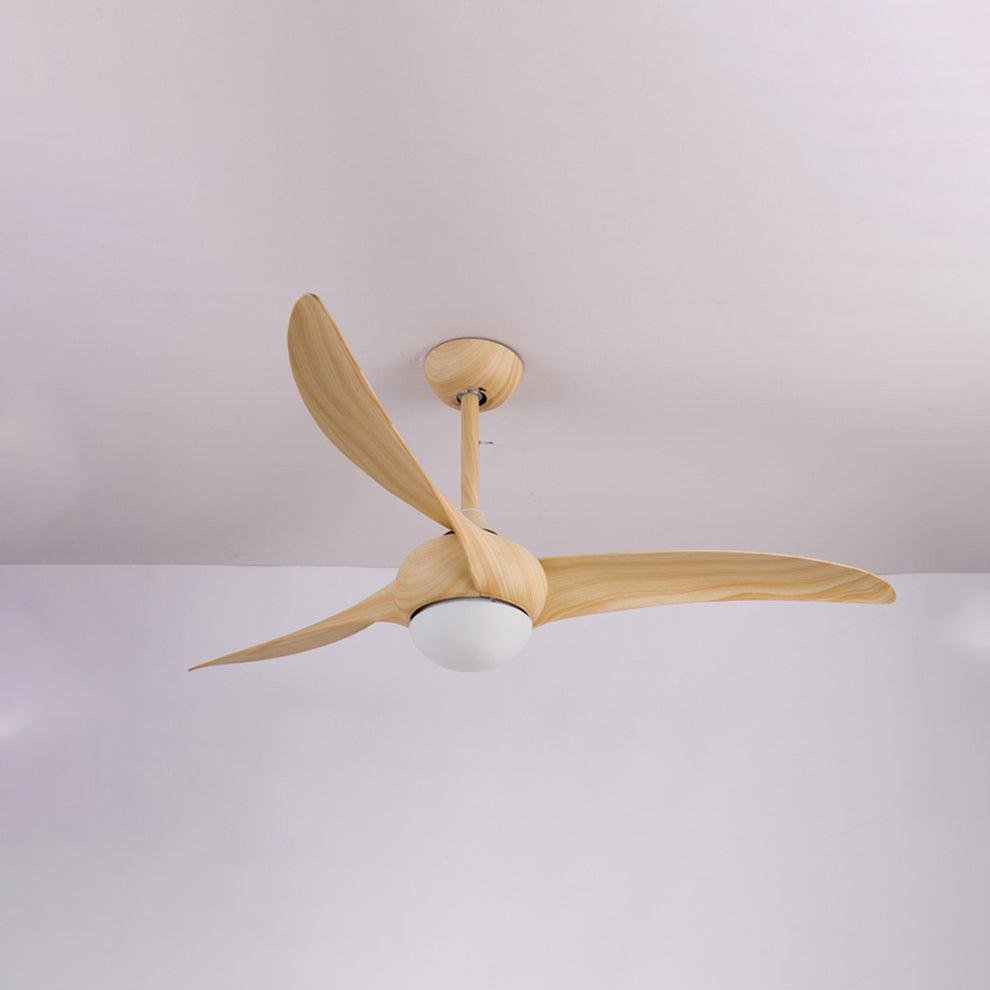 Traditional Ceiling Fan Light