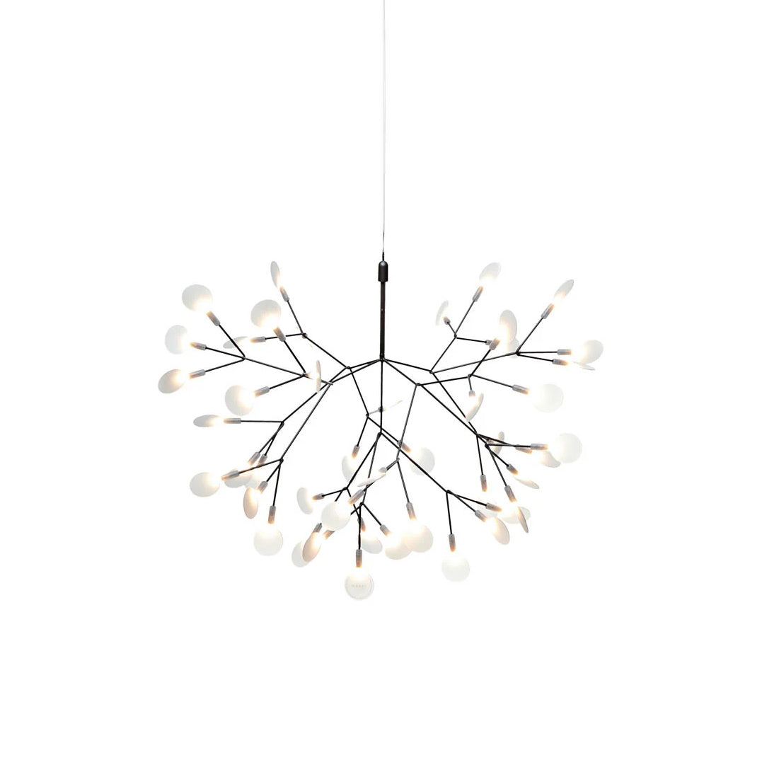 heracleum-chandelier