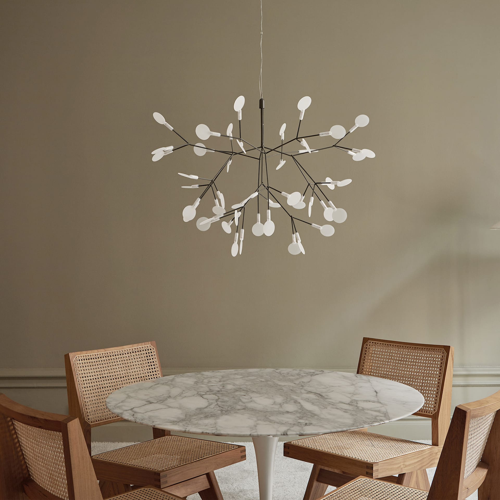 heracleum-chandelier