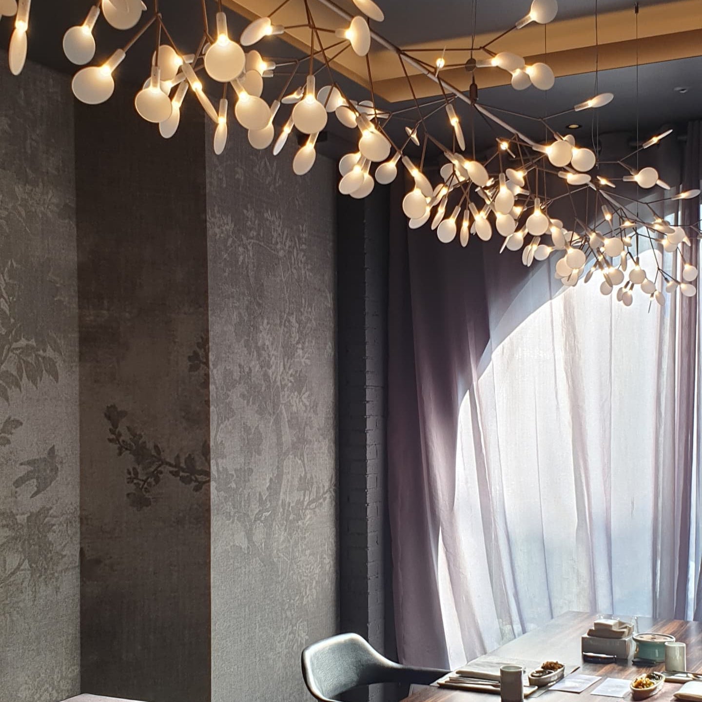 heracleum-chandelier