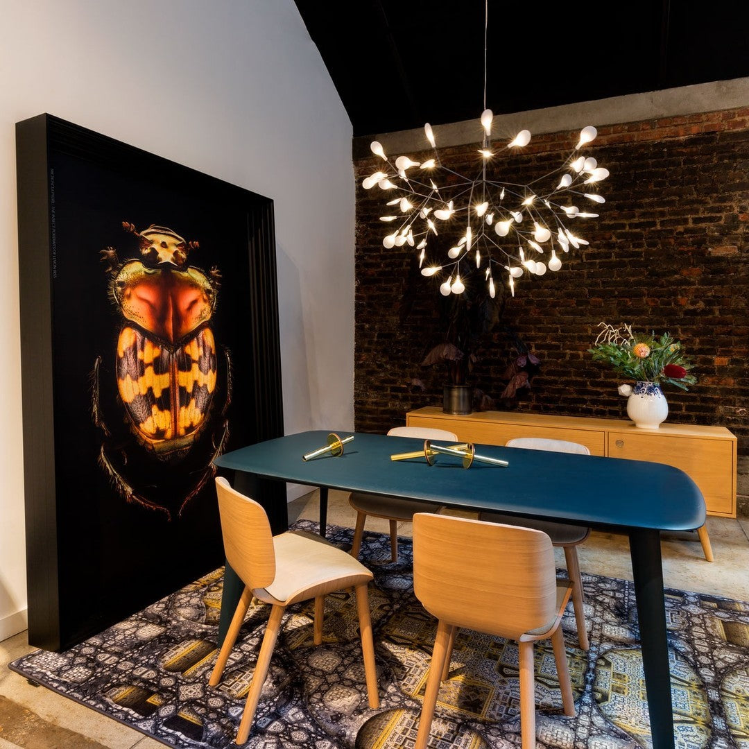 heracleum-chandelier