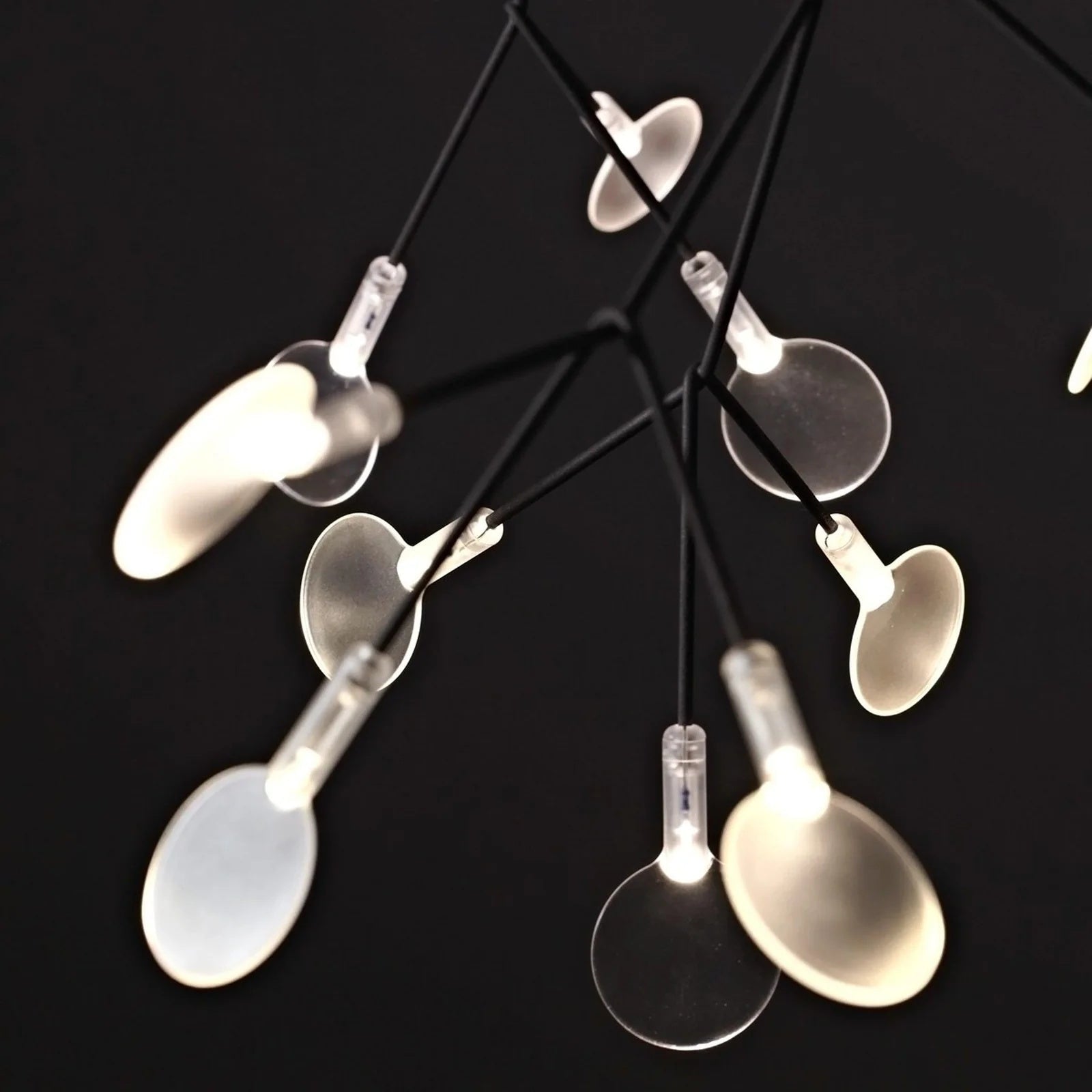 heracleum-chandelier