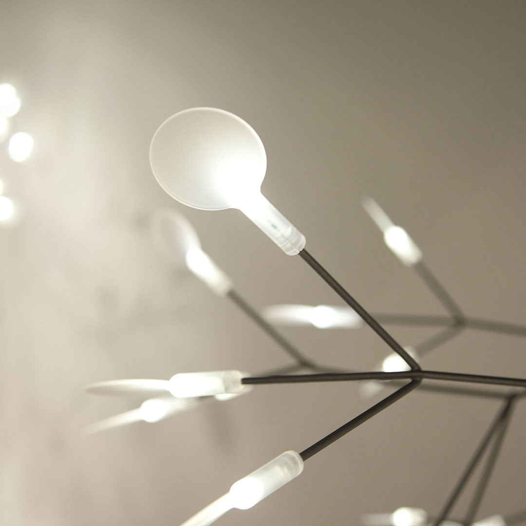 heracleum-chandelier