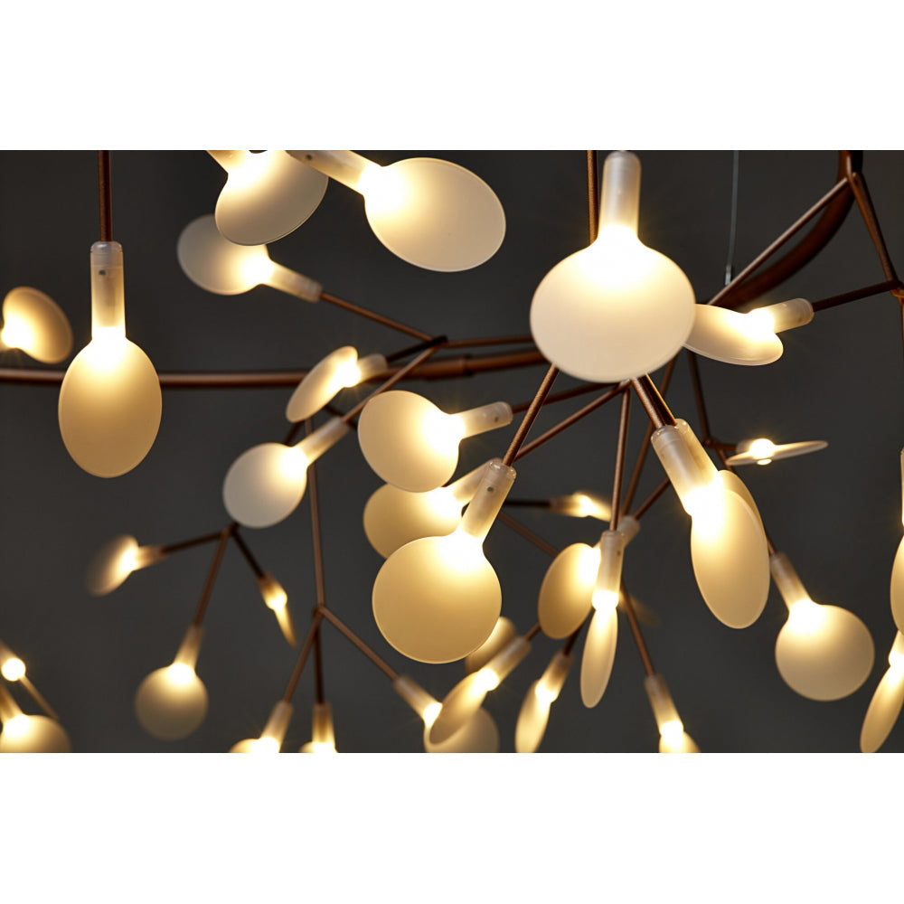 heracleum-chandelier