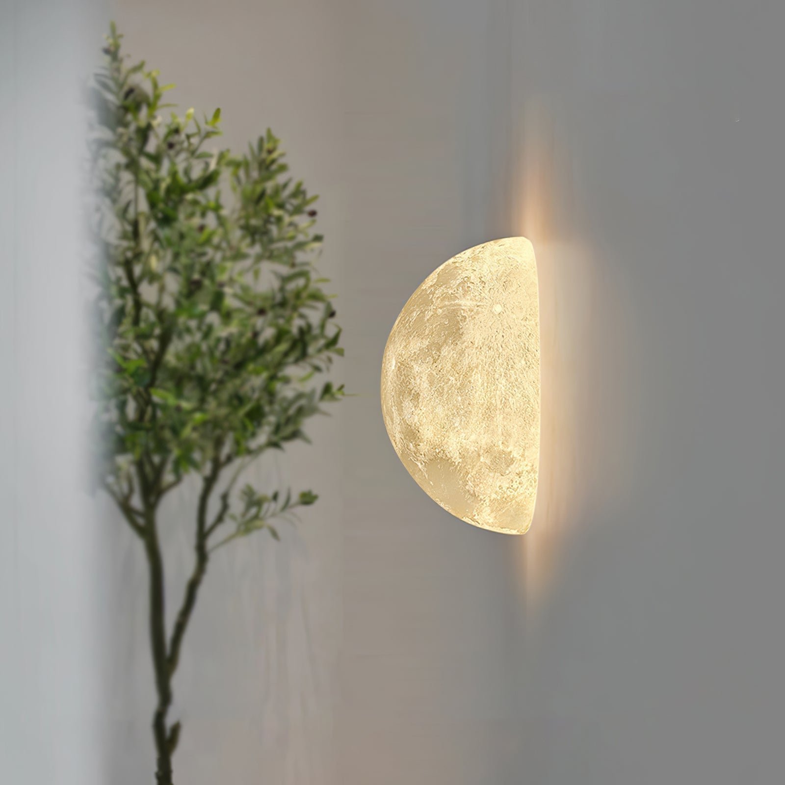 Hemisphere Moon Wall Lamp