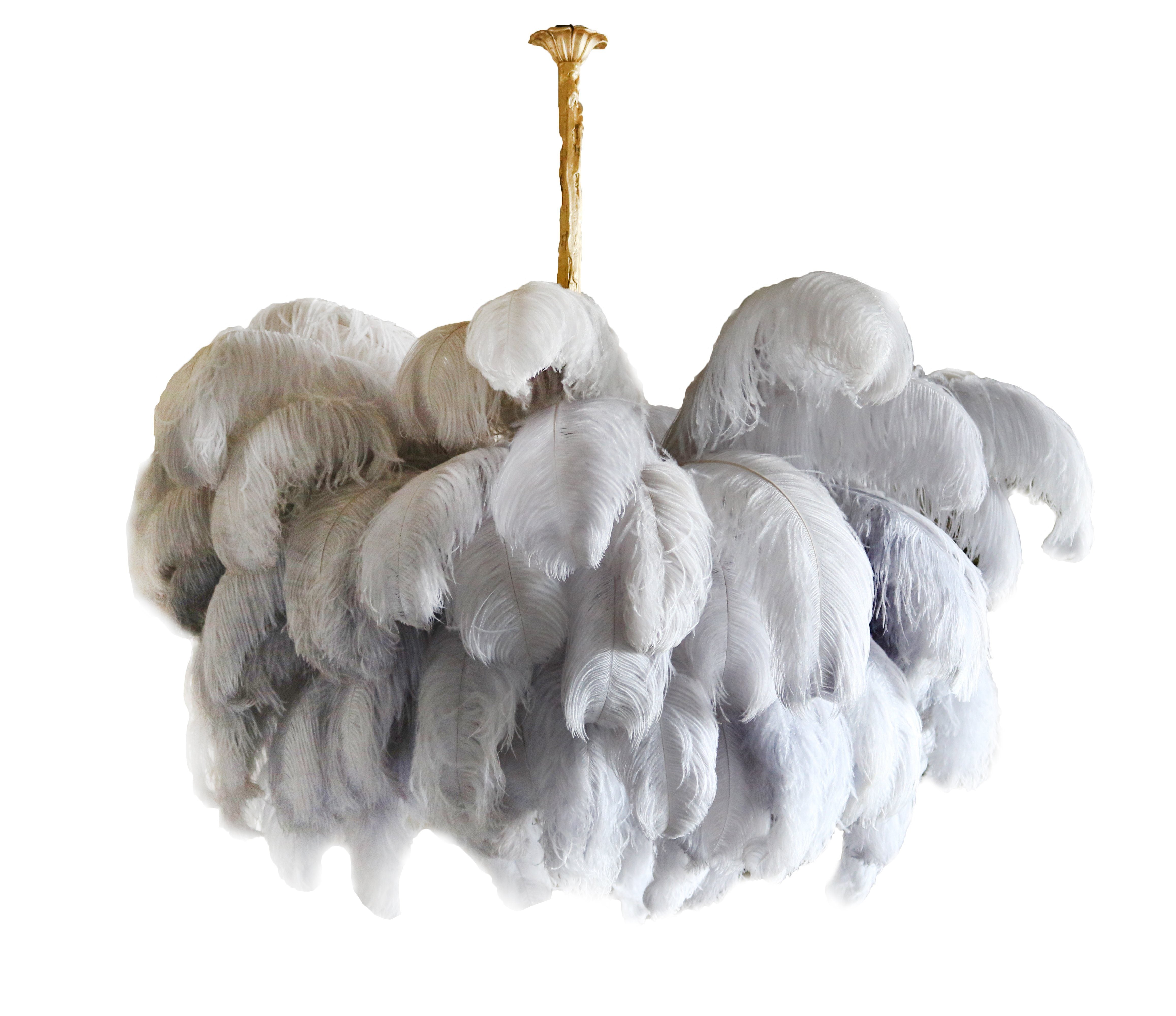 Ostrich Feather Pendant Lamp