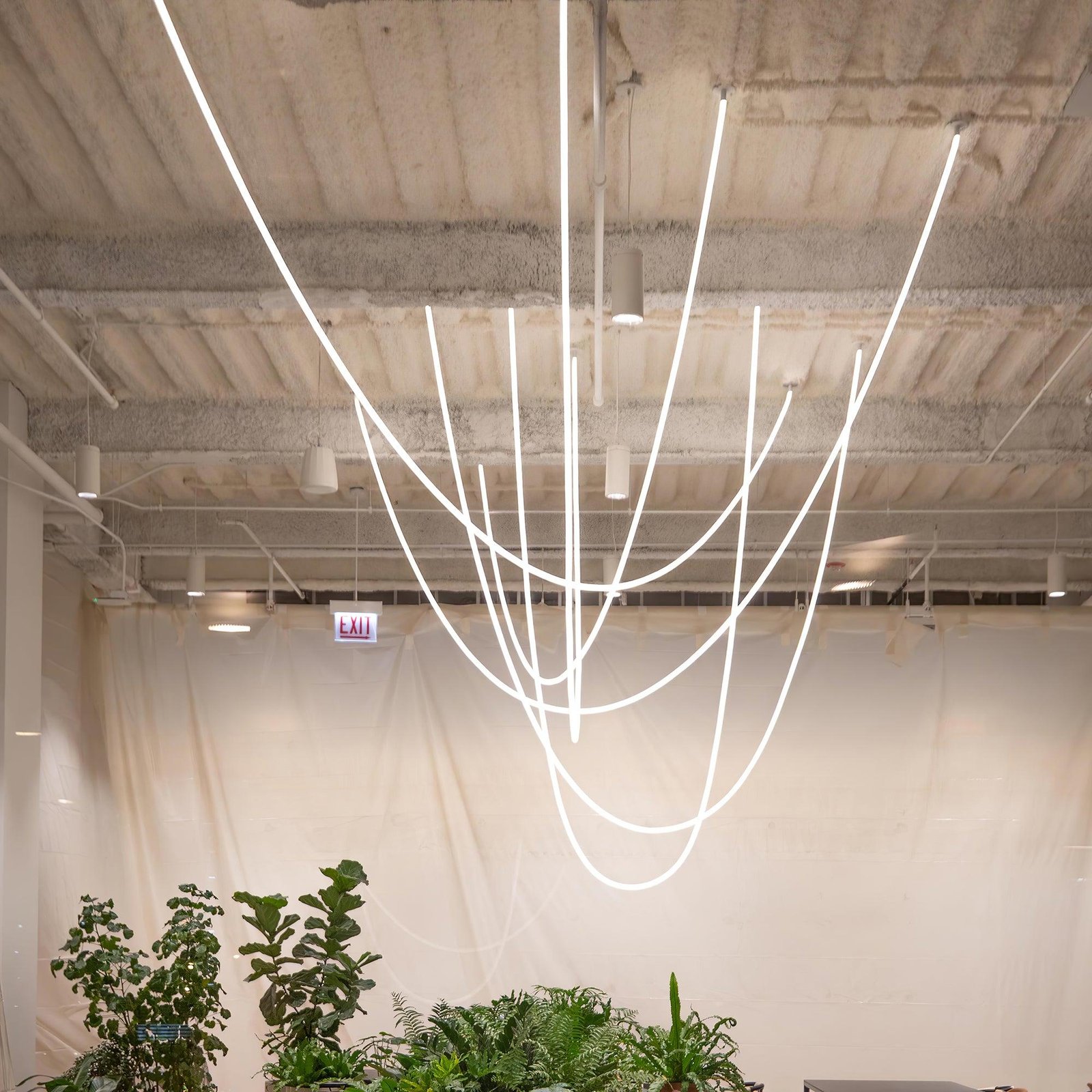 Flexible Curve Line Pendant Lamp