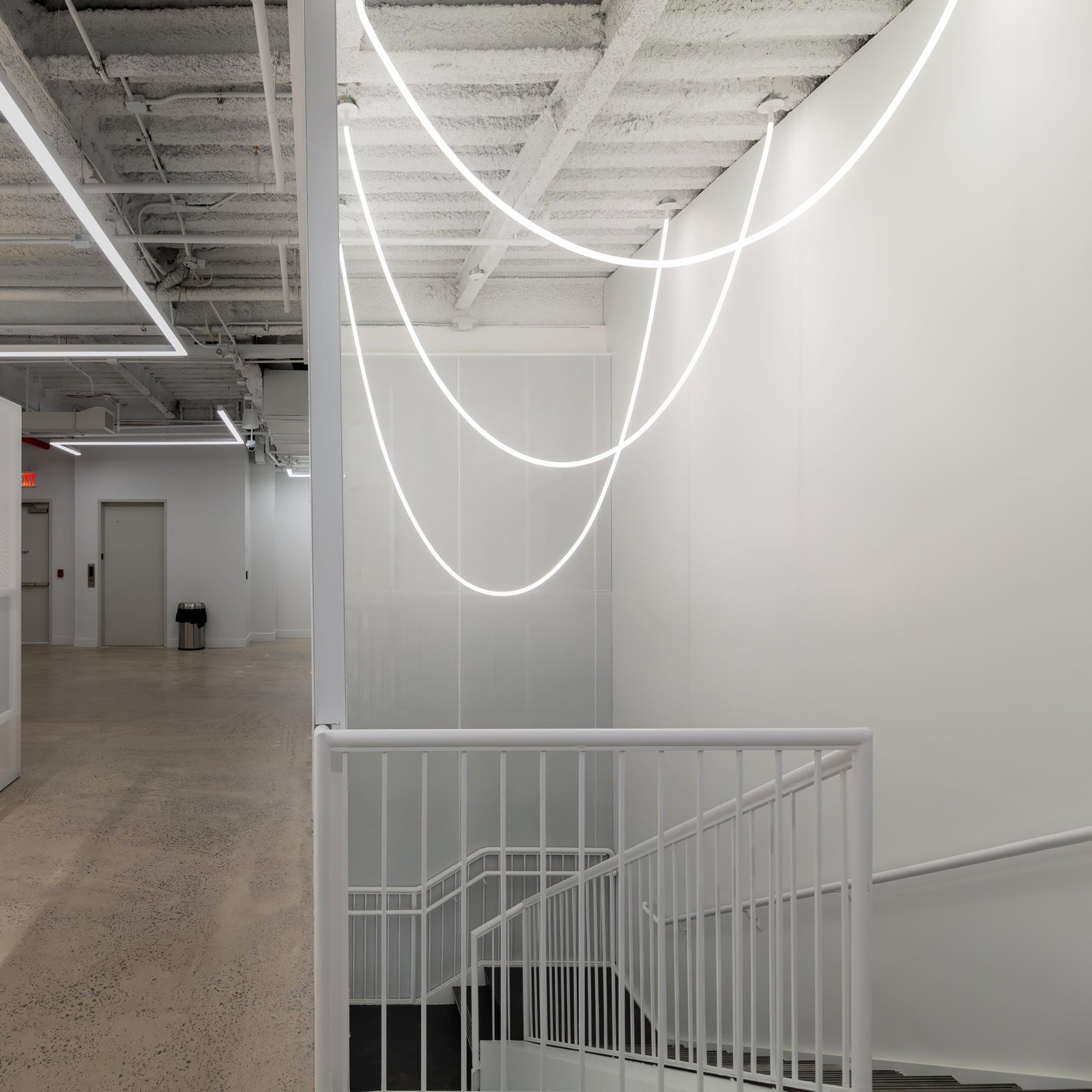 Flexible Curve Line Pendant Lamp