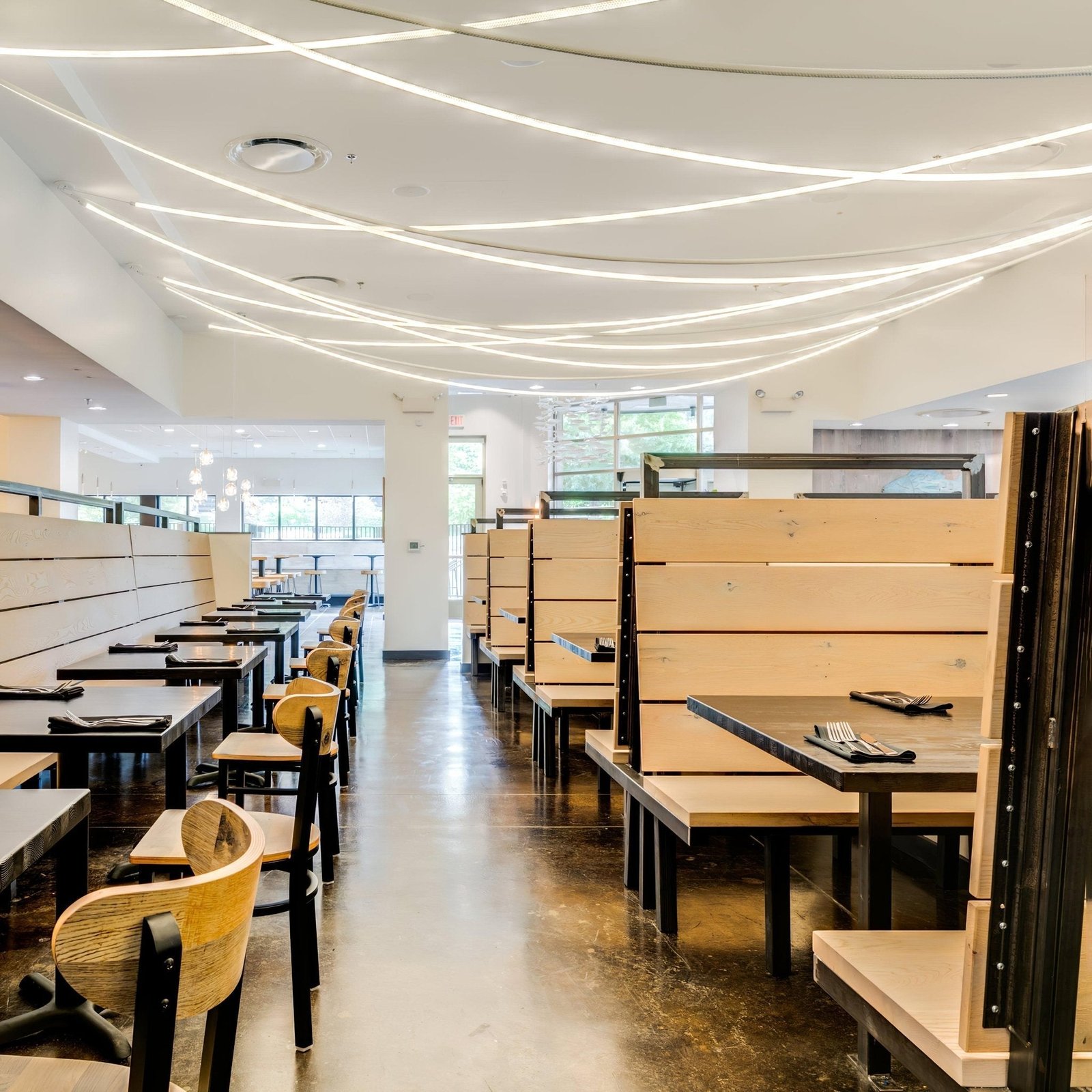 Flexible Curve Line Pendant Lamp