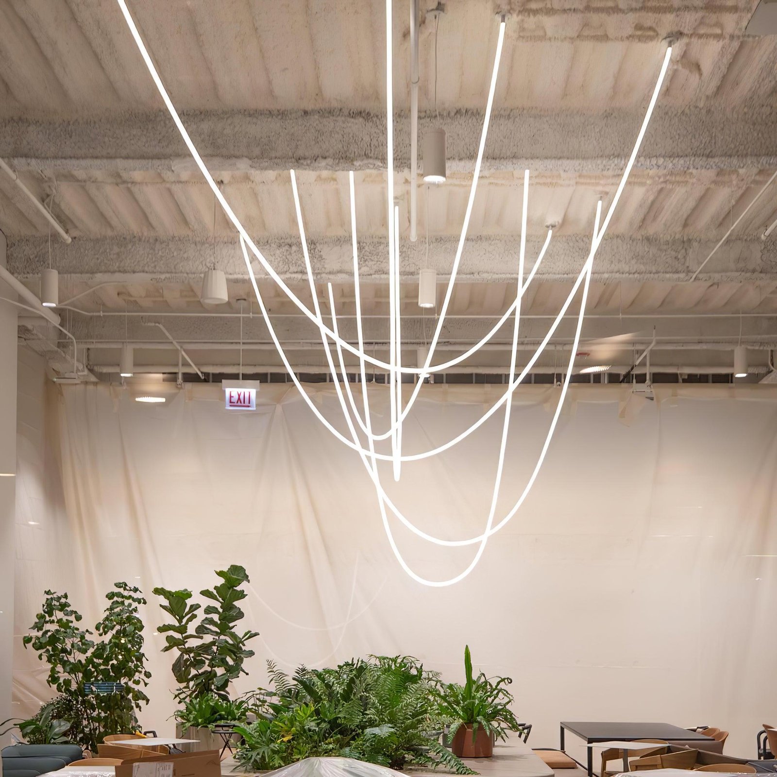 Flexible Curve Line Pendant Lamp