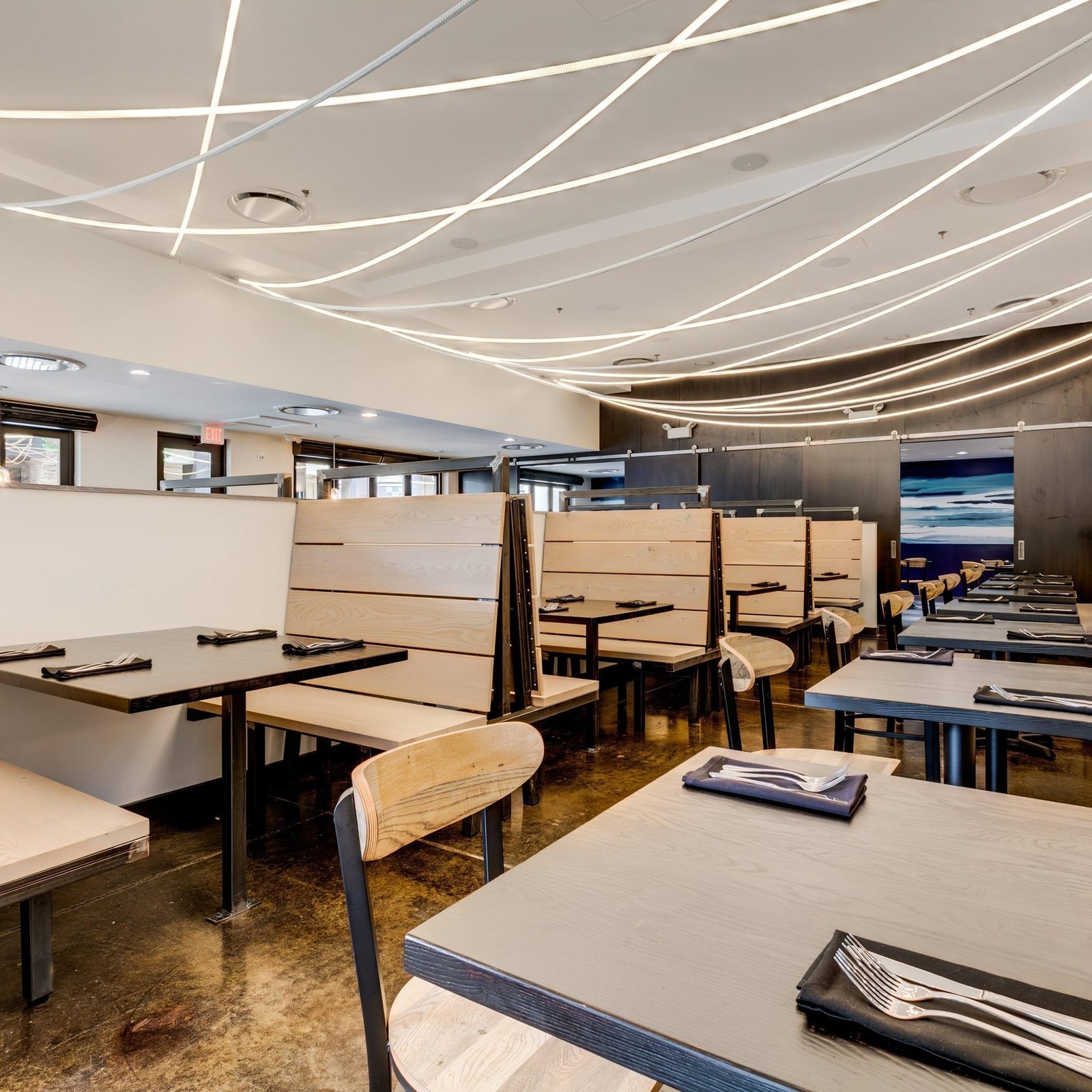 Flexible Curve Line Pendant Lamp