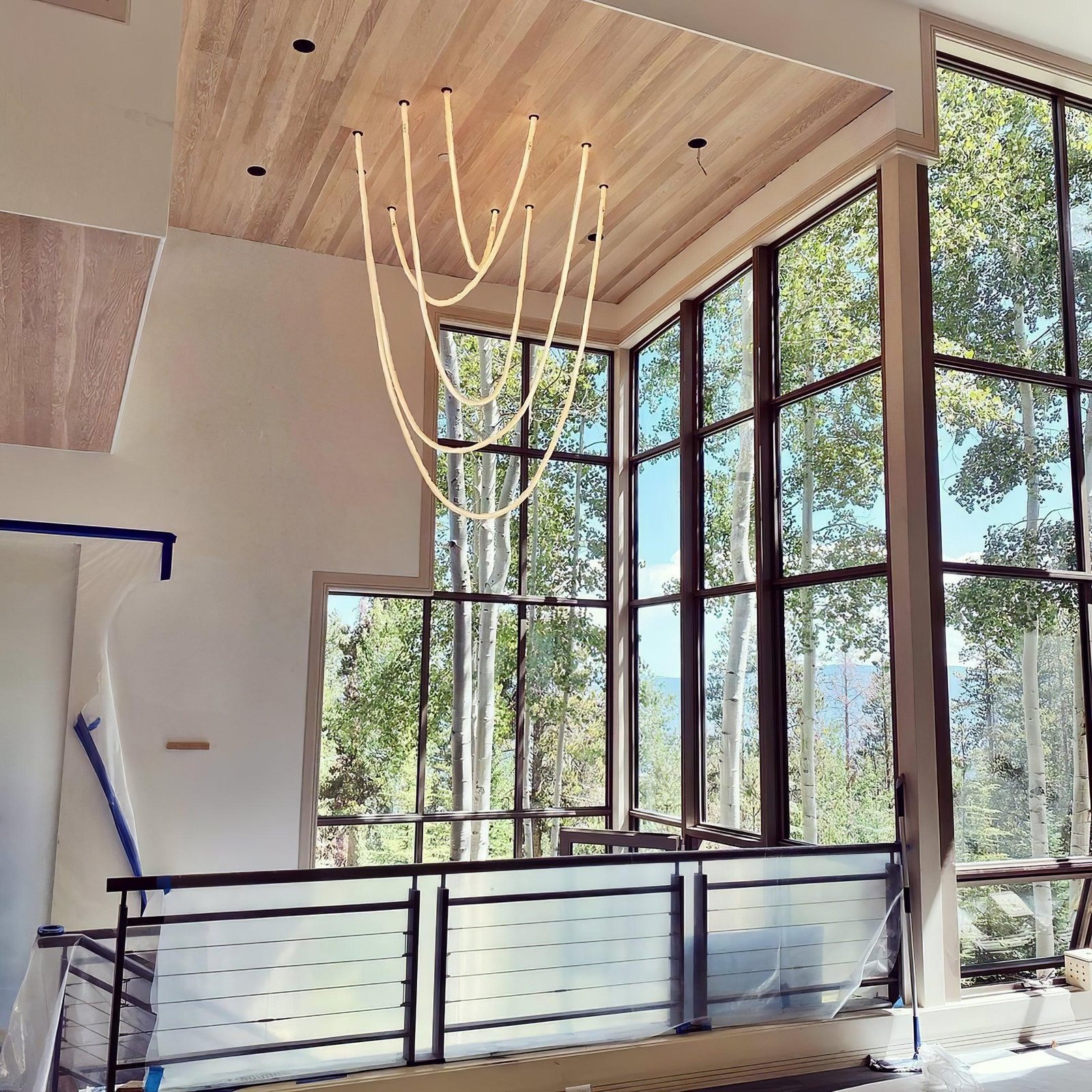 Flexible Curve Line Pendant Lamp